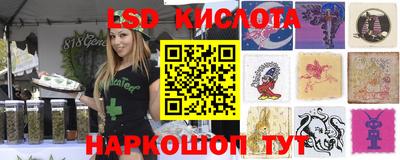 винт Донской