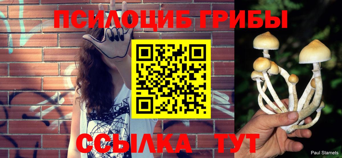 Мурманск  Галлюциногенные грибы ЛСД  Галлюциногенные грибы MAGIC MUSHROOMS  Вход с VPN 