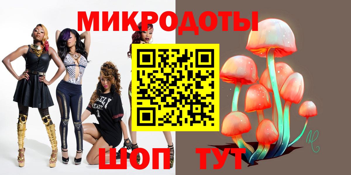 Галлюциногенные грибы Psilocybe Мурманск